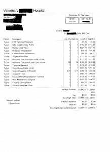 Invoice for Price of Tight Rope Surgical Repair