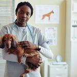 Pet Insurance: Does Your Policy Actually Cover Emergency Care In Real Time?